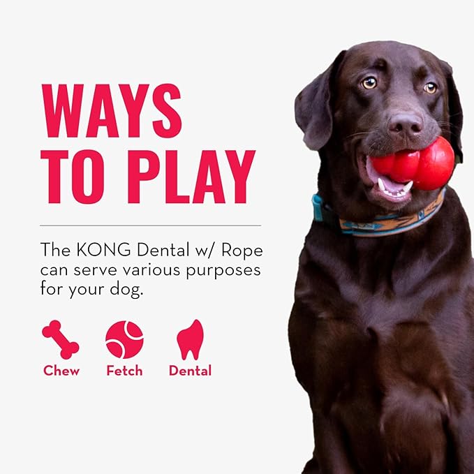 KONG Dental with Rope- for Dog Dental Care - Stuffable Chew Toy - Provides Chewing Outlet & Satisfies Instinctual Needs - Cleans Teeth & Gums - Made with Durable Natural Rubber - for Medium Dogs