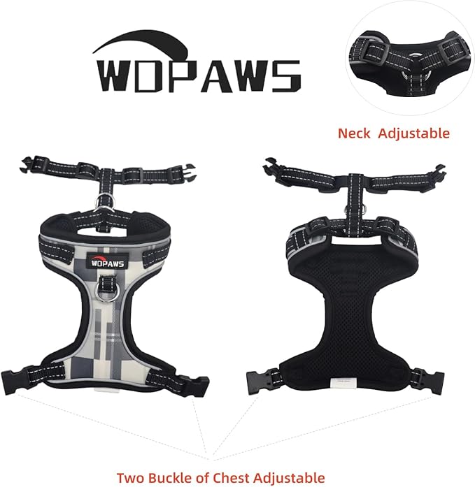 No Pull Dog Harness and Leash Set-Reflective Plaid Design, Adjustable & Comfortable with Front D Ring for Small Medium Dogs (XS, Black Plaid)
