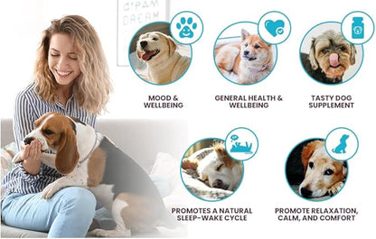 K9 Select Dog Melatonin for Large Dogs - Composure Dog Calming Chews - Canine Melatonin for Sleep - Reduce Stress for Large Canines - 6 mg, 90 Beef Flavored Chewable Tablets