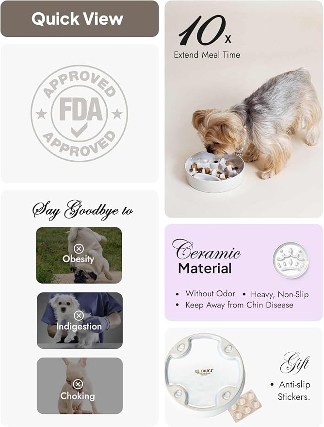 LE TAUCI Ceramic Slow Feeder Dog Bowls Small Breed, 0.6 Cups Dog Food Dish for Fast Eaters, Puzzle Bowl for Small Dogs and Cats,Crown Silver