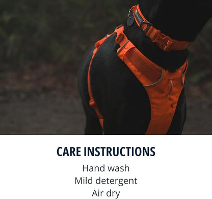 Ruffwear, Front Range Dog Collar, Adjustable Tubelok Webbing, Lightweight, Side Release Buckle, Aluminum V-Ring, Durable for Everyday Use, Blaze Orange, 20"-26"