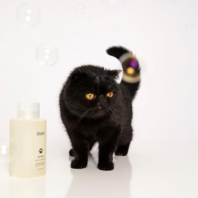 OUAI Fur Bébé Pet Shampoo - Cat & Dog Shampoo for Gentle Cleansing, Hydration & Shine - Vegan & Cruelty-Free Pet Supplies with Aloe Vera & Panthenol - Mercer Street Scent (16 Fl oz)