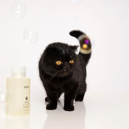 OUAI Fur Bébé Pet Shampoo - Cat & Dog Shampoo for Gentle Cleansing, Hydration & Shine - Vegan & Cruelty-Free Pet Supplies with Aloe Vera & Panthenol - Mercer Street Scent (16 Fl oz)