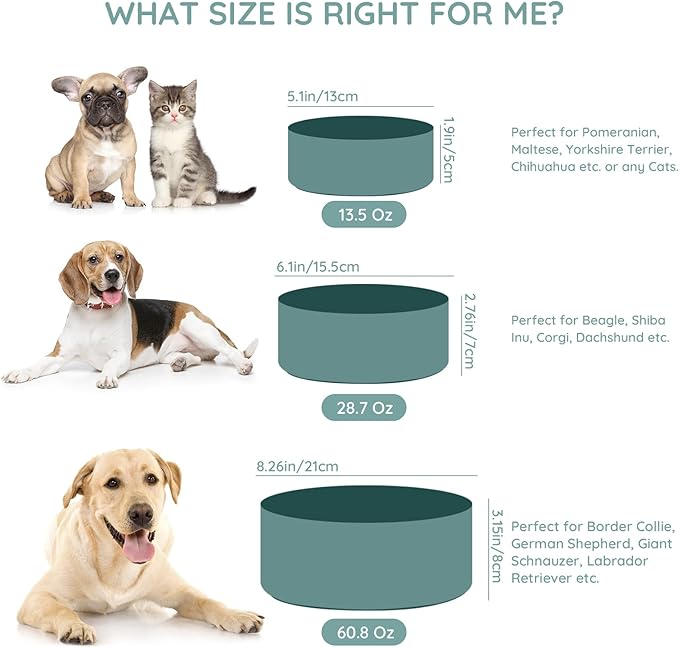 SPUNKYJUNKY 60 OZ Ceramic Dog and Cat Bowl, Modern Cute Weighted Food Water Bowl for Replacement Light Green (1 Pack)