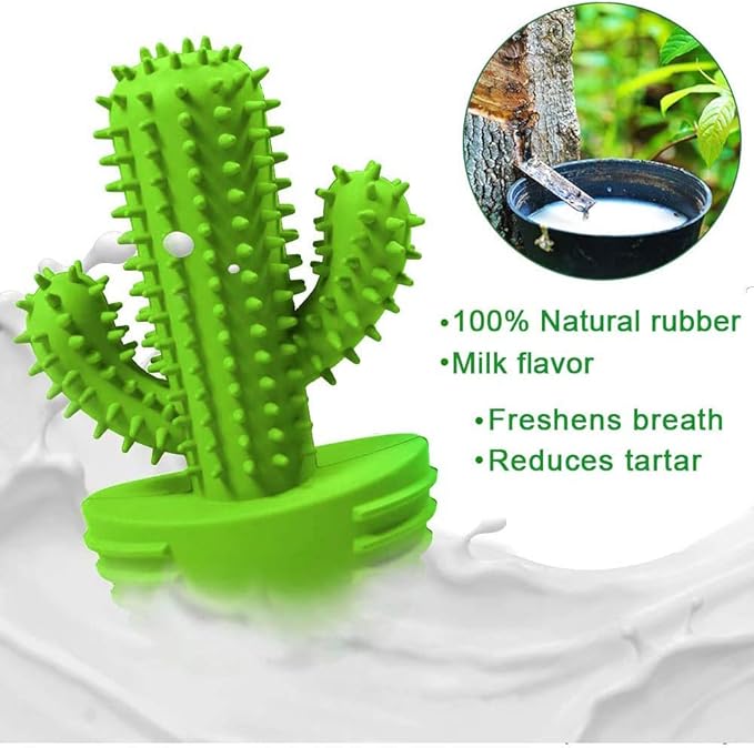 Pamlulu Dog Chew Toys, Toothbrush Stick Teeth Cleaning Brush Dental for Small Medium Large Dog, Rubber Squeaky Toys for Aggressive Chewers Cactus Tough Toys