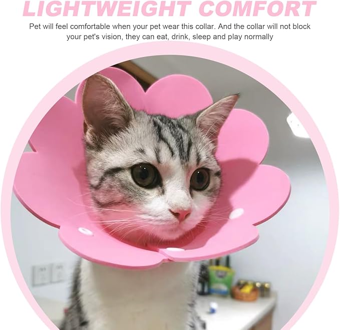 Cat Recovery Collar, Cat Recovery Collar Protective Cone Licking Neck Cone Kitten Pet Eva -Scratch