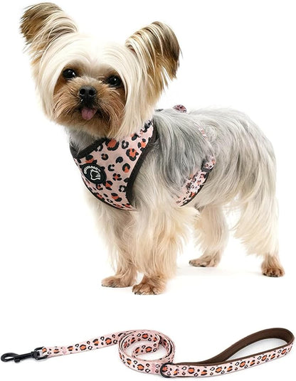 Dog Cat Harness and Leash Set, Puppia Soft Mesh Padded and Adjustable Puppy Vest Cute Dog Clothes Escape Proof Easy Walk Pet Accessories