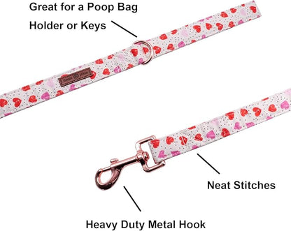 Lionet Paws Valentine's Day Dog Leash and Matching Collar for Small, Medium, Large Dogs
