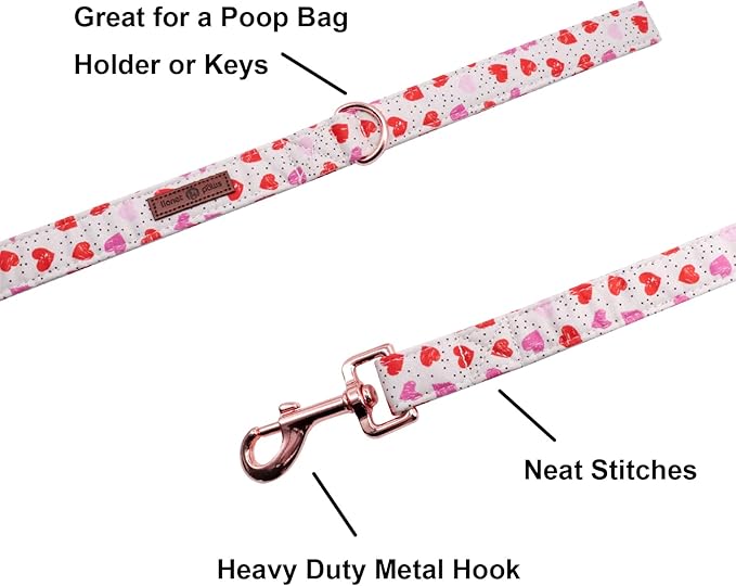 Lionet Paws Valentine's Day Dog Leash & Collar Set - Matching, Adjustable for Small to Large Dogs