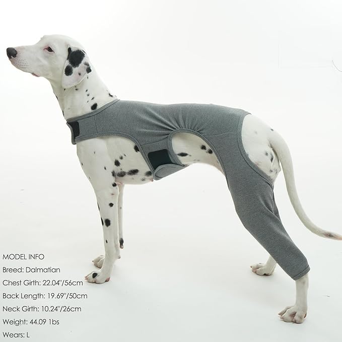 ROZKITCH Dog ACL Surgery Recovery for Rear Right Left Leg, Pet Prevent Licking Wound Elbow Protector, Male Female Dog Recovery Suit Rear Legs for Sprain ACL CCL Arthritis Joint Care Grey L