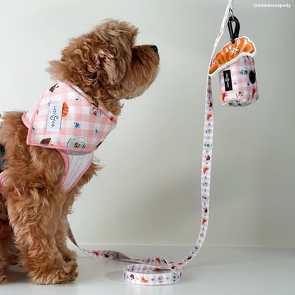 Lucy & Co. Sipping Slowly Dog Leash, Durable Matching Dog Lead with Heavy Duty Hardware, Small