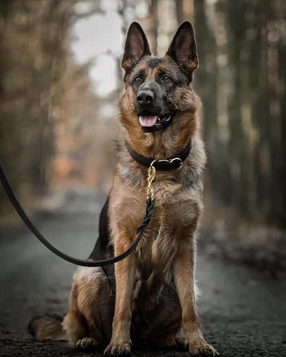 FAIRWIN Leather Dog Leash 6 Foot - Braided Military Grade Heavy Duty Dog Leash for Large Medium Small Dogs Training and Walking(Black, L:3/4" x 6ft)