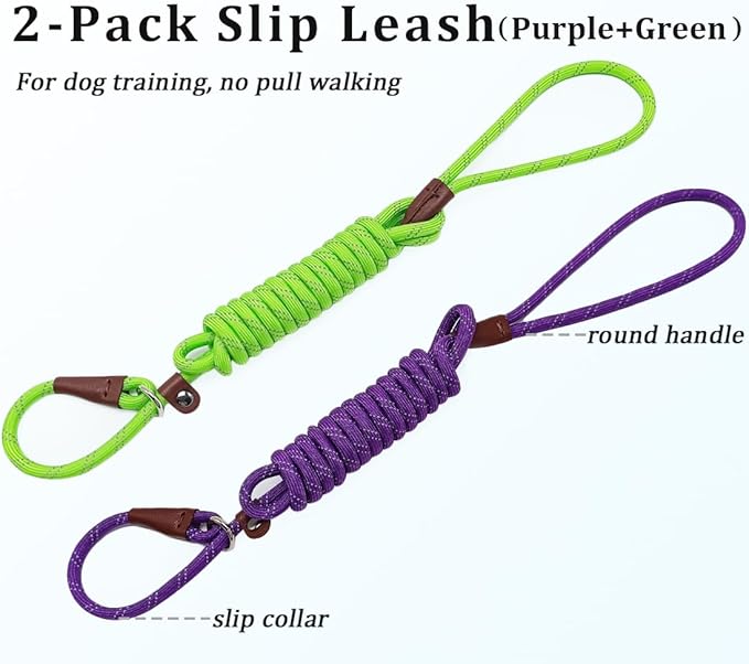 WYUZE 2 Pack 8 ft Slip Lead Dog Leash, Reflective No Pull Dog Training Lead, 1/3" Nylon Rope Slip Leash for Small Medium Dogs (Purple+Green)