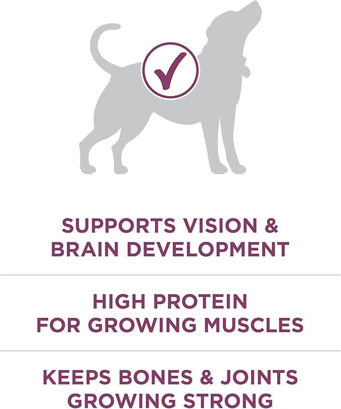 Purina ONE Plus Healthy Puppy Formula High Protein Natural Dry Puppy Food with added vitamins, minerals and nutrients - (Pack of 4) 4 lb. Bags