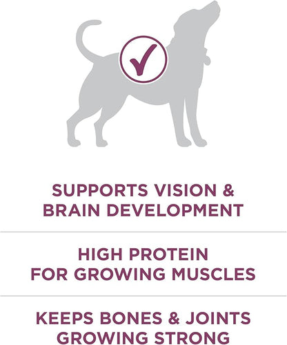 Purina ONE Plus Healthy Puppy Formula High Protein Natural Dry Puppy Food with added vitamins, minerals and nutrients - (Pack of 4) 4 lb. Bags