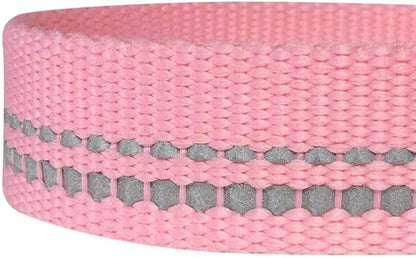 Blueberry Pet 3M Reflective Pastel Color Dog Leash with Soft & Comfortable Handle, 5 ft x 3/4", Baby Pink, Medium, Leashes for Dogs