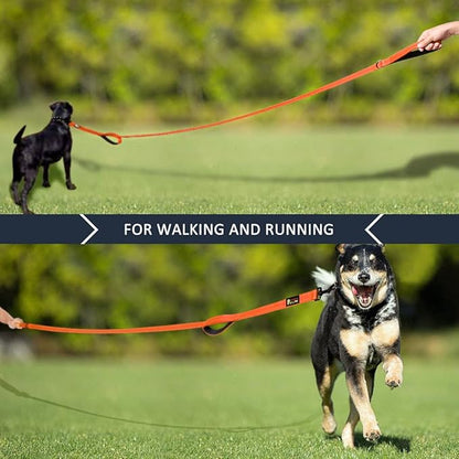 Plutus Pet Dog Leash 6ft Long,Traffic Padded Two Handle,Heavy Duty,Reflective Double Handles Lead for Control Safety Training,Leashes for Large Dogs or Medium Dogs,Dual Handles Leads(Orange)