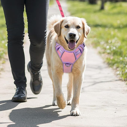 BARKBAY No Pull Dog Harness Large Reflective Dog Harness with Front Clip and Easy Control Handle for Walking Training Running with ID tag Pocket(Baby Pink & Violet Purple,M)