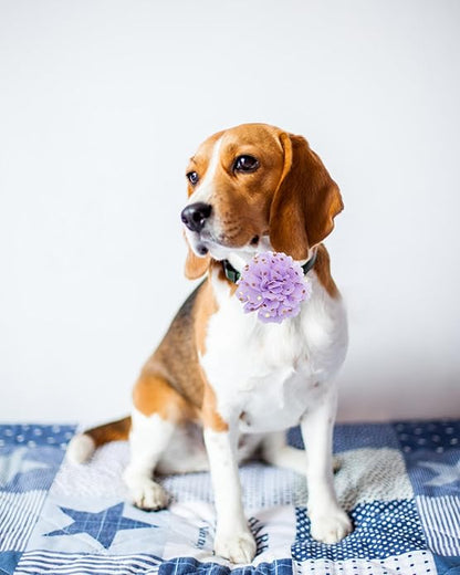 PET SHOW Small Dog Collar Charms Bowties for Cats Rabbits Slide on Puppies Medium Dog Collars Attachment Flower Bows Pet Bowknot Valentines Grooming Costumes Accessories