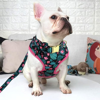 Beirui Cute Girl Dog Collars, Harnesses & Leashes Set - Adjustable Dog Collar and Leash Set with Flower - Soft Mesh Dog Vest Harness for Puppies Small Medium Dogs (Green,M)