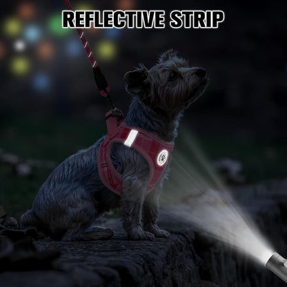 BEAUTYZOO Small Dog Harness and Leash Set, Step in No Choke No Pull Soft Mesh Dog Harnesses Reflective for Small Medium Puppy Dogs and Cats, Plaid Dog Vest Harness for S M Pets, Light Pink L