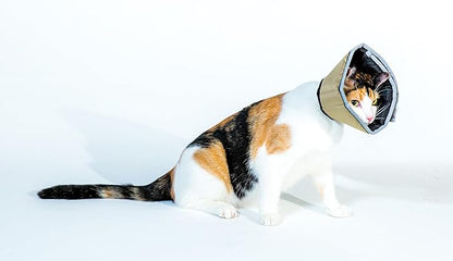 All Four Paws Comfy Cone Pet Cone for Dogs, Cats, Small, Tan - Comfortable Soft Dog Cone Collar Alternative for After Surgery, Wound Care, Spay, Neuter - Dog and Cat Recovery Elizabethan-Collar