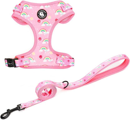 Dog Cat Harness and Leash Set, Puppia Soft Mesh Padded and Adjustable Puppy Vest Cute Dog Clothes Escape Proof Easy Walk Pet Accessories
