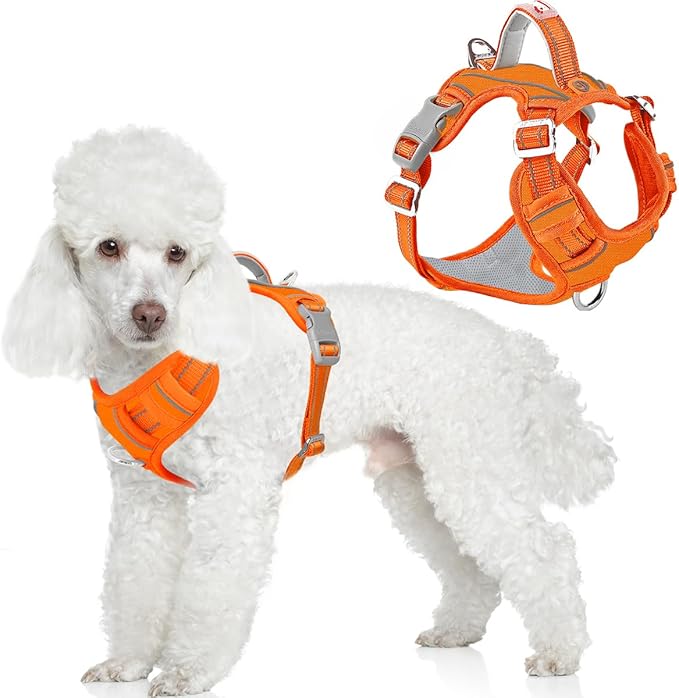BARKBAY Dog Harness No Pull Oxford with ID Tag Pocket - Heavy Duty, Reflective, Easy Control for Large Dogs(Pumpkin Oxford,S)