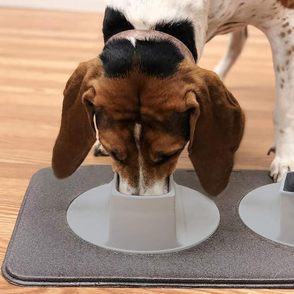 Ear Clear Dog Bowl and Mat Set, No Spill Food and Water Bowls with Mat, Perfect Feeding Tray Set for Long Eared Dog or Breeds, No Mess Dog Bowl 36 oz Feeder Bowl Set, Hounds, Cocker Spaniels, Setters