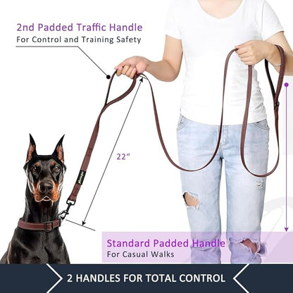 Plutus Pet Double Handle Dog Leash 6ft, Heavy Duty, Reflective Dual Handle Dog Leash for Safety Training, for Medium Large Dogs,2 Handle Leads, Chocolate