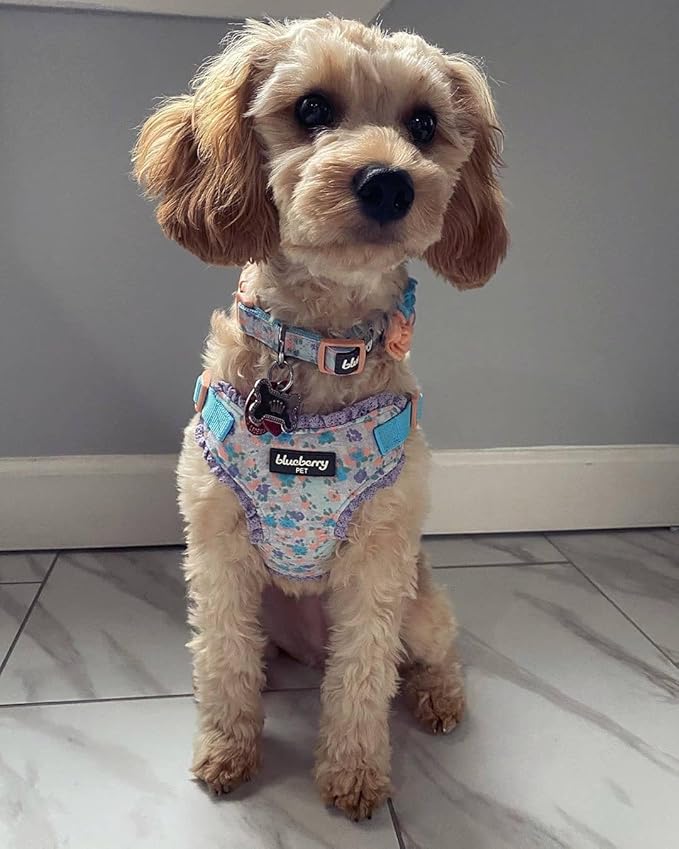 Blueberry Pet Floral Dog Collar with Detachable Flower, Medium, Lavender, Adjustable Neck 14.5"-20", 3/4" Width, Eco-Friendly Buckle, Stylish Dog Collars for Medium Dogs, Safe Puppy Collar