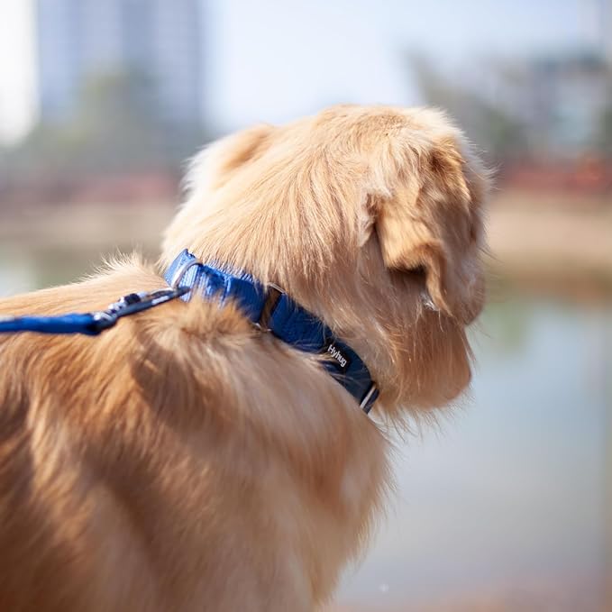Hyhug Martingale Collar for Dogs Extra Large Blue |Escape - Proof Heavy Duty Nylon Durable No Pull, Ideal for Training & Daily Walks