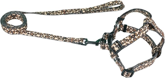 Harness and Leash Set, Leopard Pattern, 5ft Matching Leash, No Pull, Easy Wear for Small Dogs.(S, Brown Leopard)