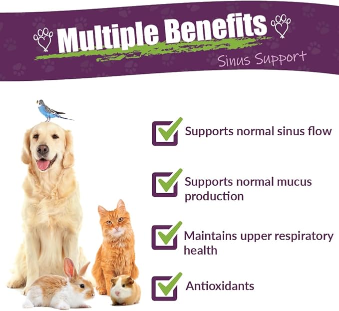 Amber NaturalZ Pet C&C Herbal Supplement for Dogs, Cats, Birds, Guinea Pigs, and Rabbits | Pet Herbal Supplement for Healthy Sinus | 4 Fluid Ounce Glass Bottle |Manufactured in The USA