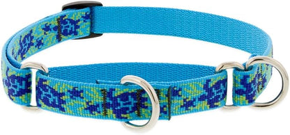 LupinePet Originals 3/4" Turtle Reef 10-14" Martingale Collar for Small Dogs