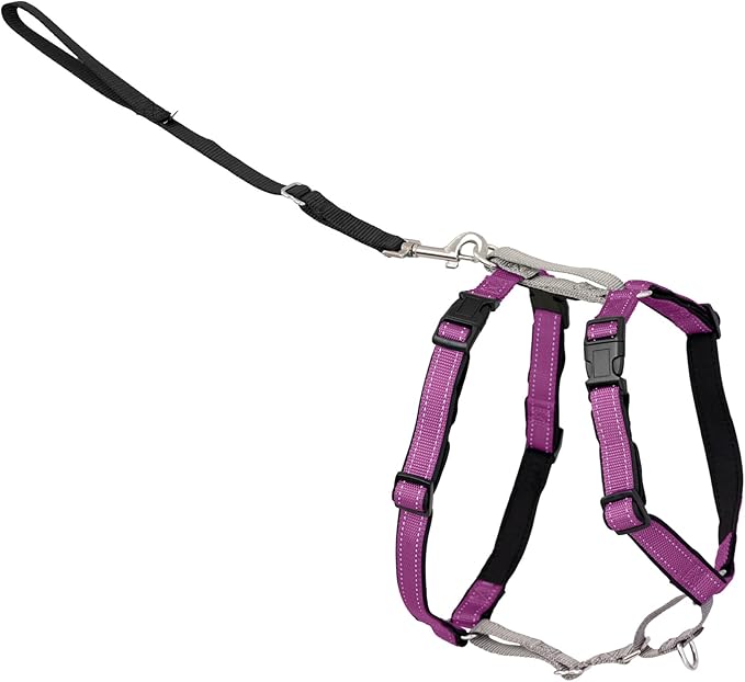 PetSafe 3-in-1 Harness - Comfortable Easy-Walk Dog Chest Harness with Front Leash Attachment to Reduce Pulling, Choking & Gagging - Dog Obedience Gear - Medium - Plum