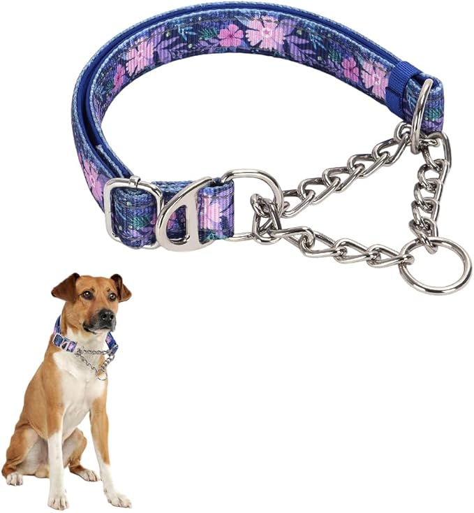 Stainless Steel Chain Martingale Collar for Dogs, No Pull Slip Cinch Choker Choke Collar Training Escape Proof Heavy Duty Dog Collar for Small Medium Large Pet Boy Male Dogs M