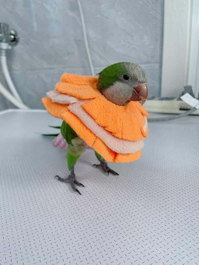 Adjustable Parrot Cone Collar, Safe and Practical Cotton Collar to Prevent Bites and Licking Wounds, to Help heal (XS)