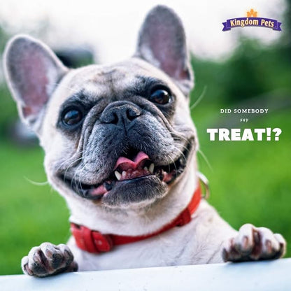 Filler Free Chicken Jerky & Sweet Potato Twists, Premium Treats for Dogs, 48-ounce bag