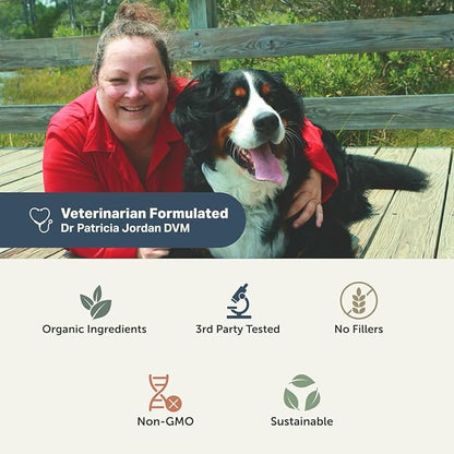 Four Leaf Rover Protect - Probiotics for Dogs - Veterinarian Formulated - with Natural Prebiotics and Antioxidants - Detoxification & Gut Health - 30 Day Large Dog Supply