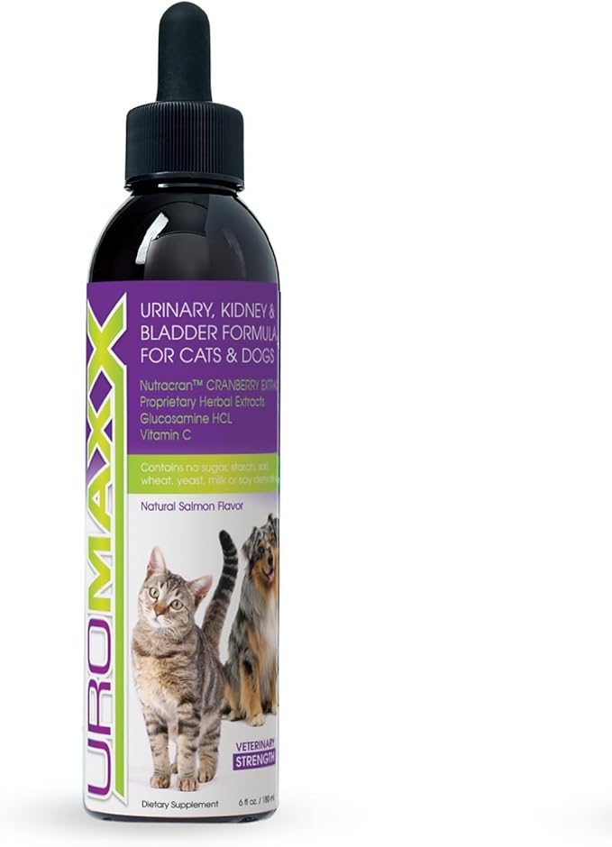 UroMAXX, Cat & Dog Urinary Tract Treatment, Bladder & Kidney Support for Dogs and Cats, Powerful Yet Gentle Pet Care, with Liquid Cranberry & Glucosamine, Salmon Flavor, 6 oz Bottle, 1 Pack