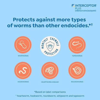 Interceptor Plus Prevention for Heartworm + 4 Other Worms for Dogs 2-8 lbs. | 12 Chews, 12-Month Supply