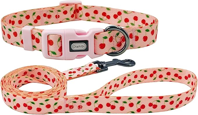Dog Collar and Leash Set, Cherry Pattern, Polyester Material, 5ft Leash, for Puppy Dogs.(Extra Small,Pink Cherry)