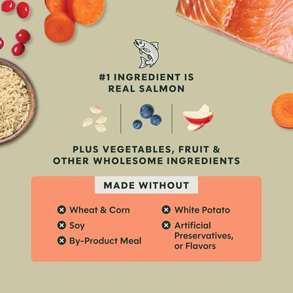 Instinct RawBoost, Natural Dry Dog Food with FreshDried Raw, Whole Grain Recipe - Real Salmon & Brown Rice, 3.5 lb. Bag