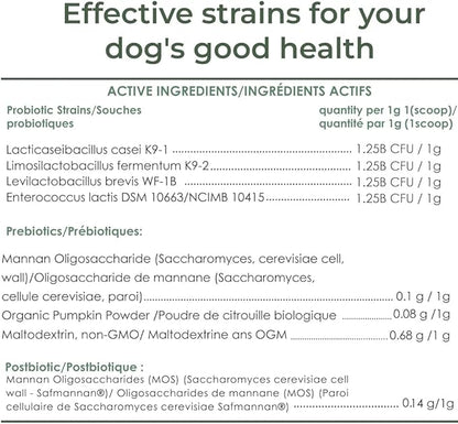 Dog Probiotic Powder for Digestive Support | 5 Billion CFU | Gut Health & Immunity Support | Mix-in Powder | 60g | Unflavoured (60g)