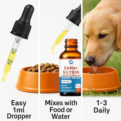 SAMEe for Dogs 500mg Liquid Drops with Silybin – Bacon Liver Flavored Liver Support Supplement for Dogs – S-Adenosyl Methionine & Milk Thistle Extract – 30ml (1oz)