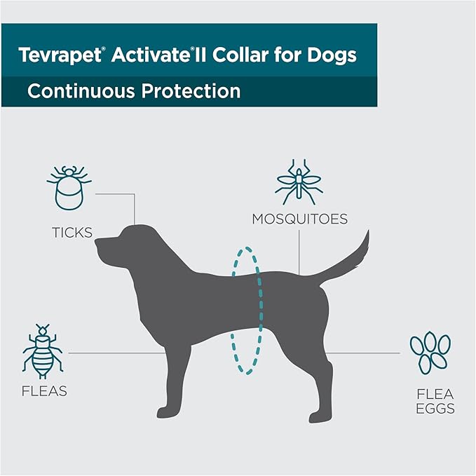 TevraPet Activate II Flea and Tick Collar for Dogs, 6 Months Prevention, 1 Count, One Size Fits All