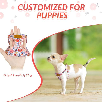 Lukovee Puppy Harness and Leash Set, No Pull Lightweight Soft Suede Adjustable Pet Harness Vest with Snap Buckle for Puppy Small and Medium Size Dog (Flower-XS)