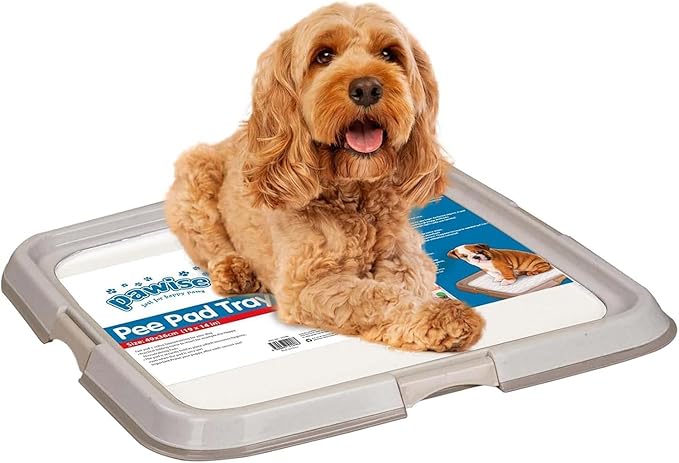 Pawise Dog Pee Pad Holder for Puppy, Puppy Pad Holder Tray, Pet Training Pee Pad, Indoor Potty Tray for Senior Dogs, Dog Toilet for Newborn Puppies, 23.5" x 23.5"，Purple