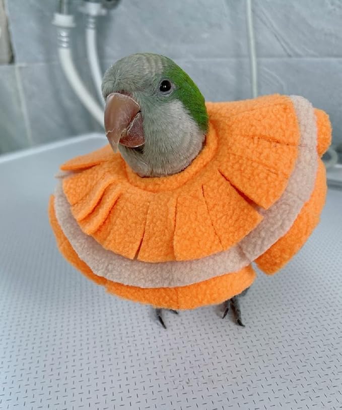 Adjustable Parrot Cone Collar, Safe and Practical Cotton Collar to Prevent Bites and Licking Wounds, to Help heal (2M)